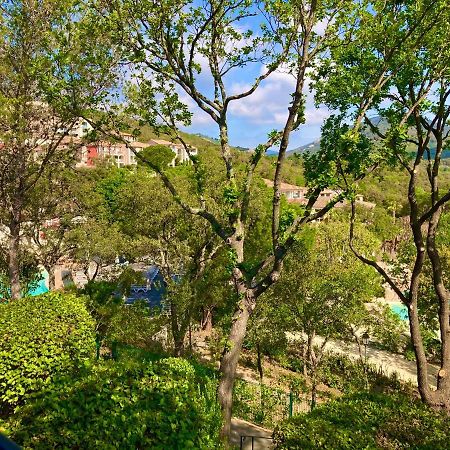 Les Restanques Bruyeres 2103 Proche Piscine Lejlighed Grimaud Eksteriør billede