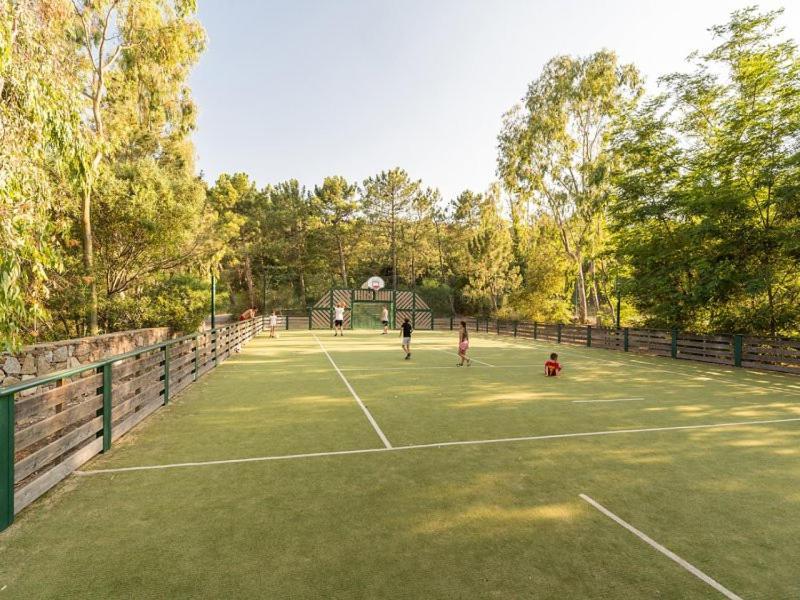 Les Restanques Bruyeres 2103 Proche Piscine Lejlighed Grimaud Eksteriør billede