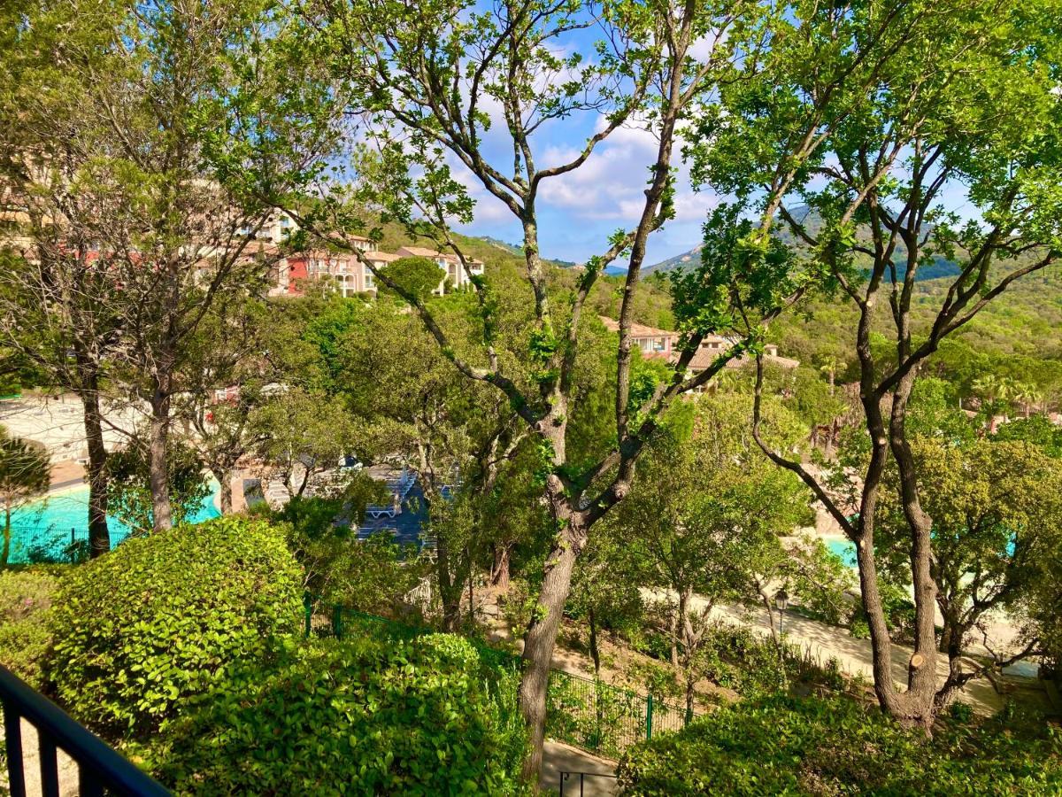 Les Restanques Bruyeres 2103 Proche Piscine Lejlighed Grimaud Eksteriør billede