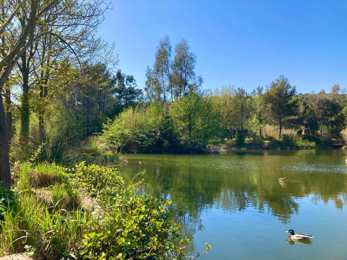 Les Restanques Bruyeres 2103 Proche Piscine Lejlighed Grimaud Eksteriør billede